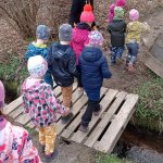 phoca_thumb_m_kytiky a ba 24 Fotogalerie